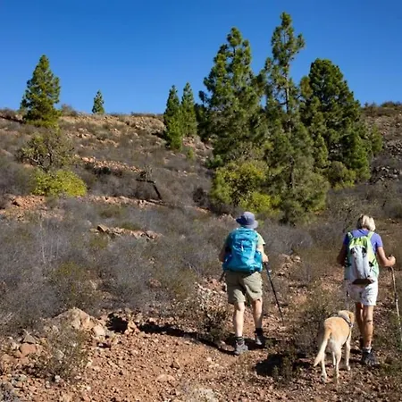 Estrella Alpesi faház Costa Adeje (Tenerife)